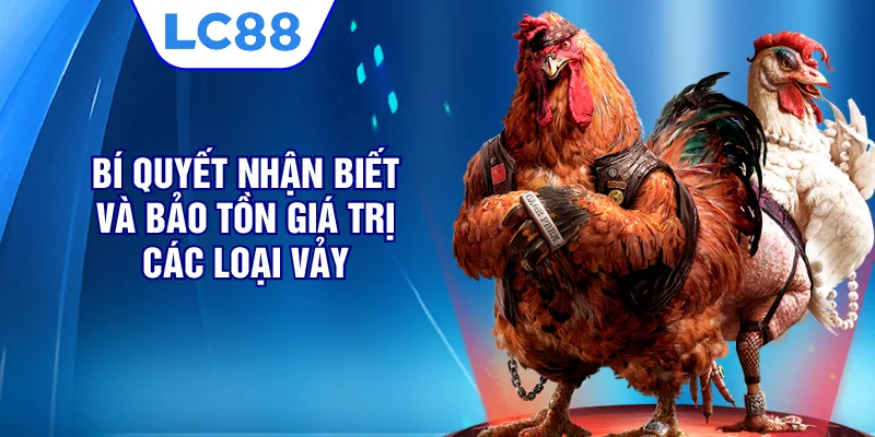 Bí quyết nhận biết và bảo tồn giá trị các loại vảy