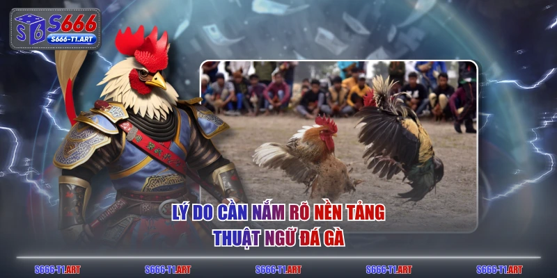 Lý do cần nắm rõ nền tảng thuật ngữ đá gà