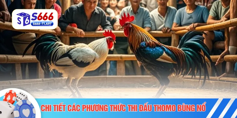 Chi tiết các phương thức thi đấu Thomo bùng nổ