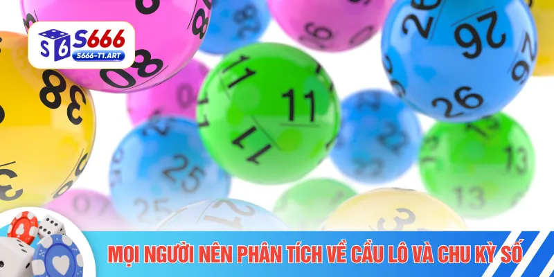 Mọi người nên phân tích về cầu lô và chu kỳ số